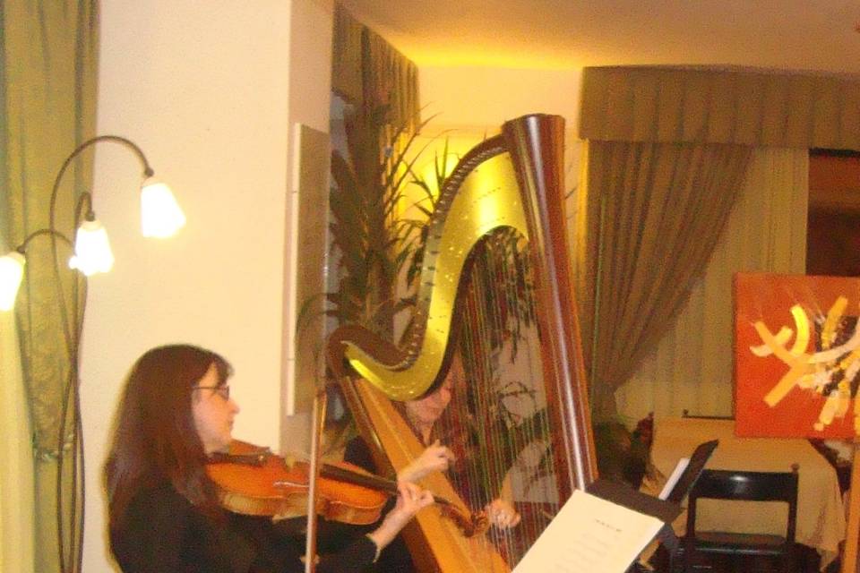 Duo viola-arpa