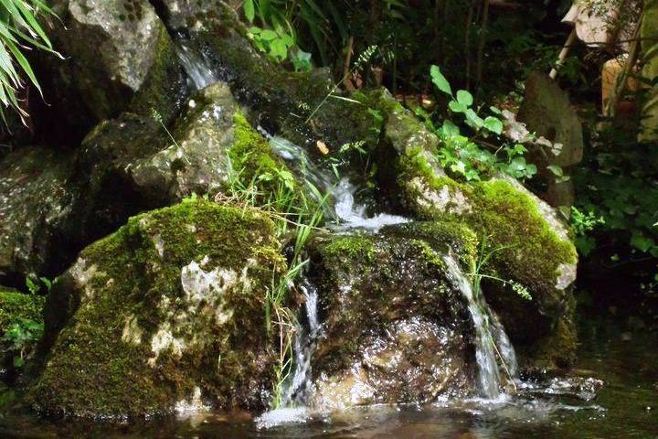 Il soave cascatina