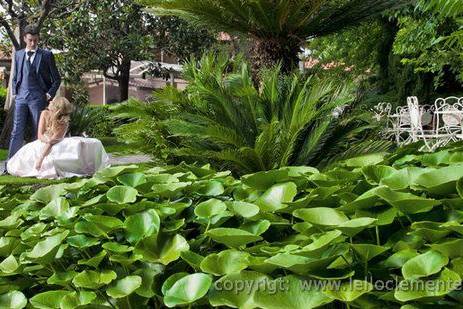 Il Giardino dei Tigli