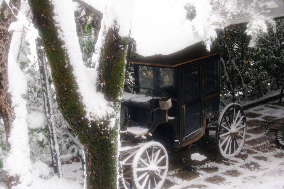 Il Giardino dei Tigli