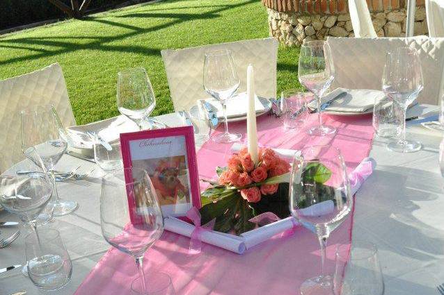 Mise en place fucsia