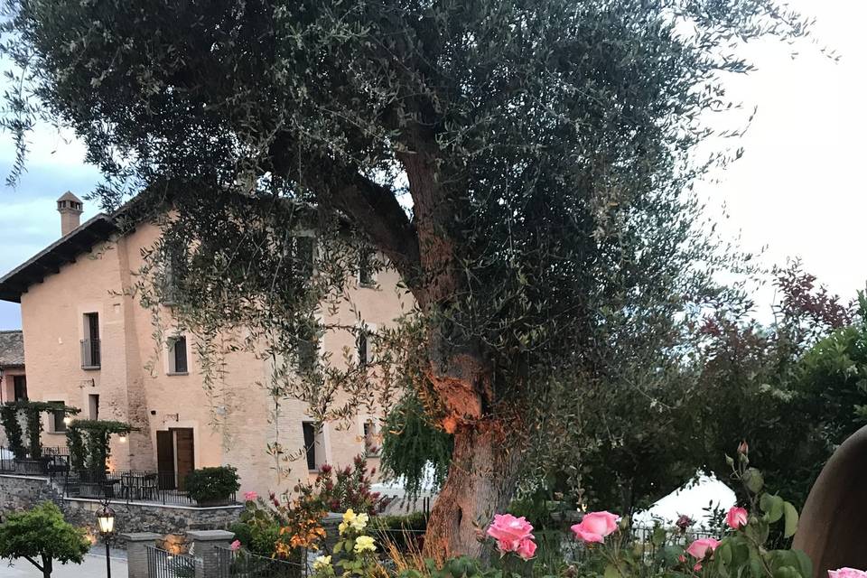 Gazebo Belvedere