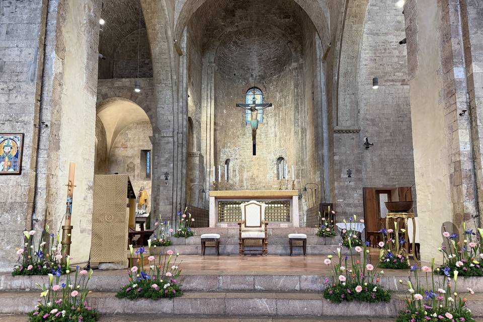 Fioritura di primavera!
