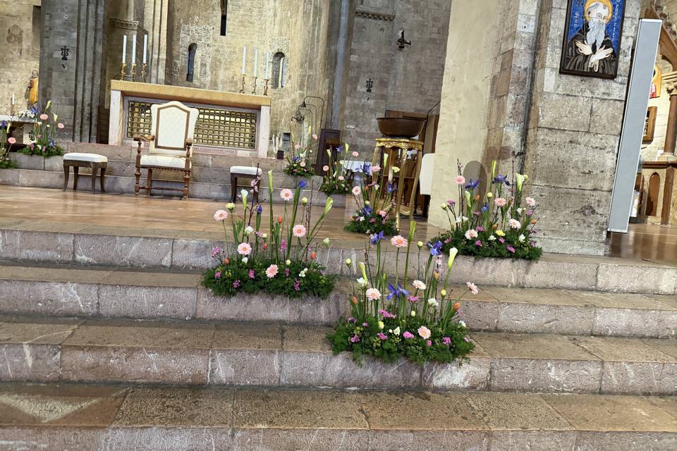 Fioritura di primavera!