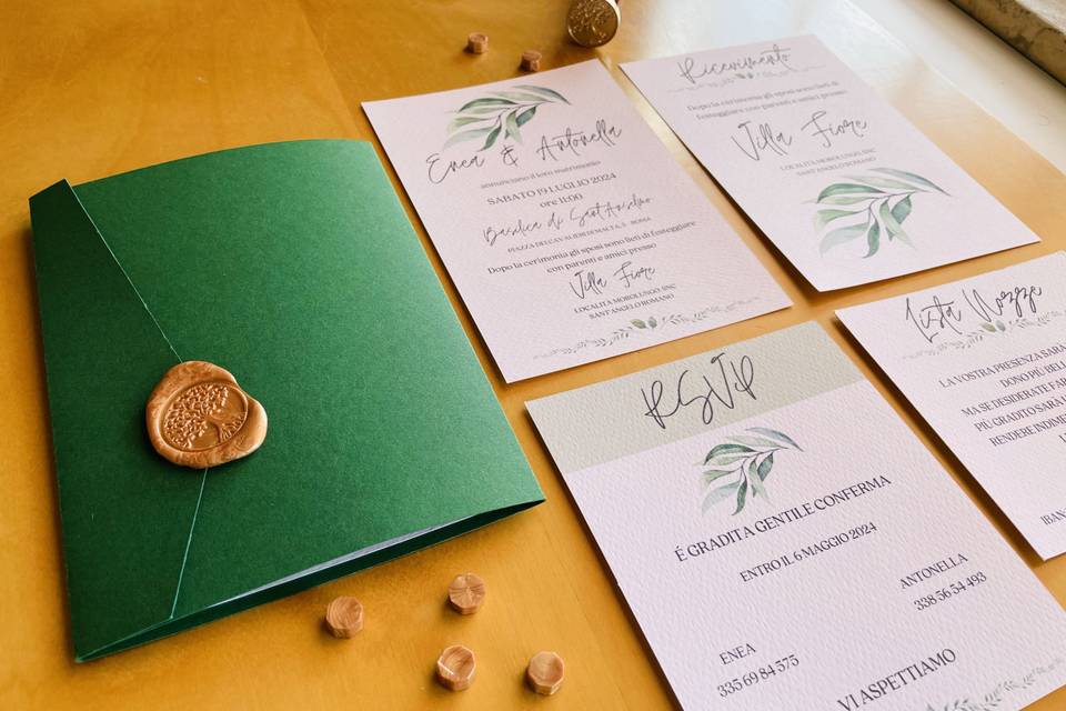 Partecipazione - cofanetto