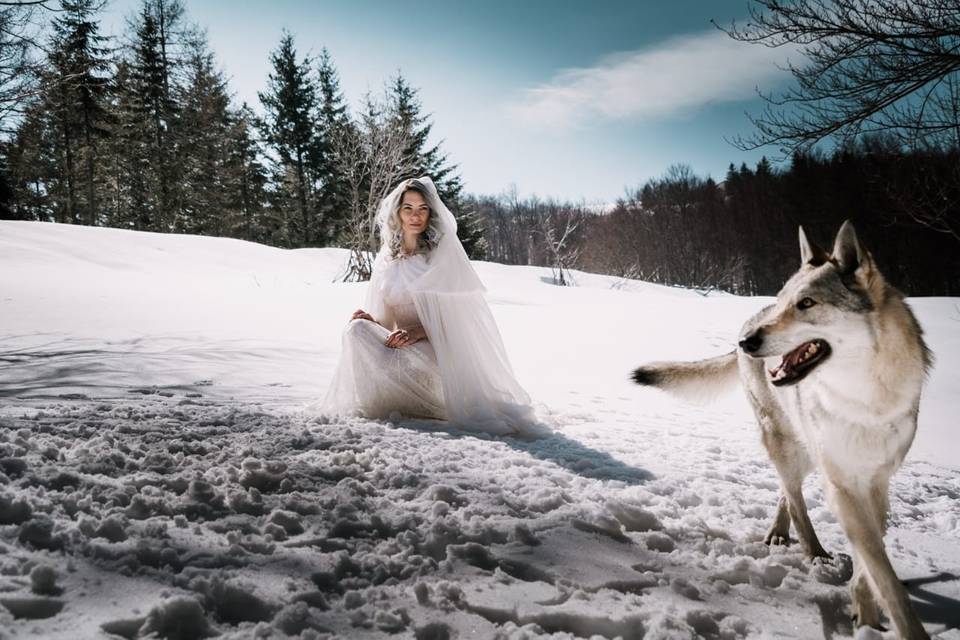 Wedding winter