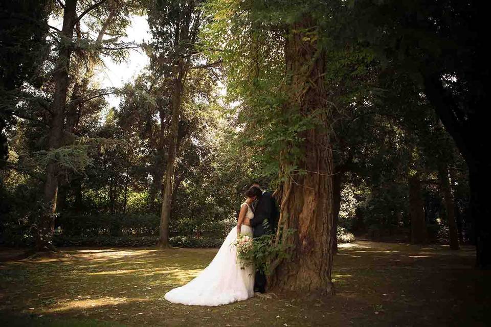 Villa Adele
