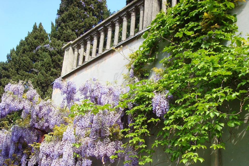 Villa Adele