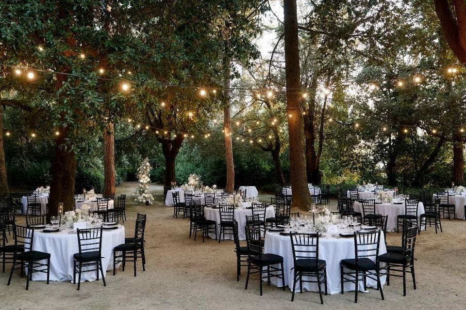 Cena nel bosco