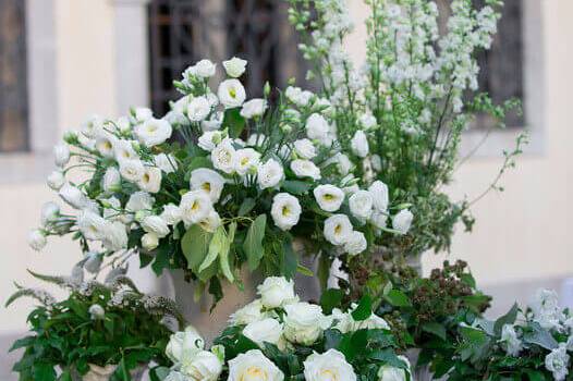 Lisianthus