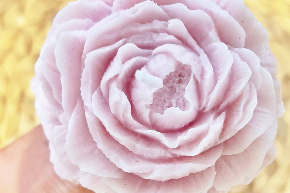 PeoniA