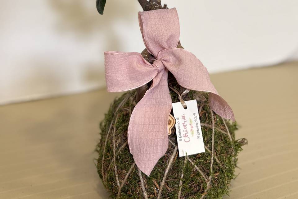 Kokedama bonsai