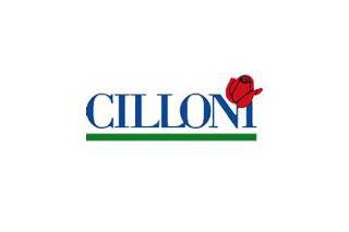 Cilloni floral designer