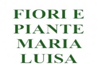 Fiori e Piante Maria Luisa logo