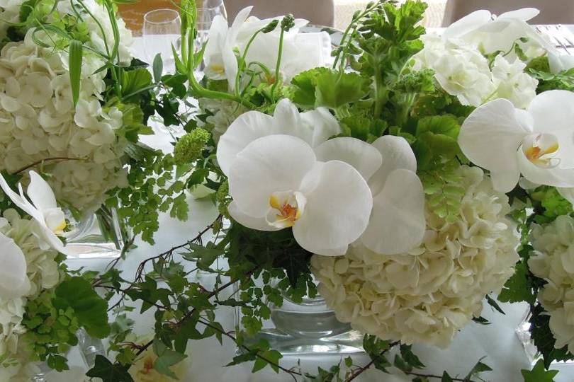 Le Bouquet