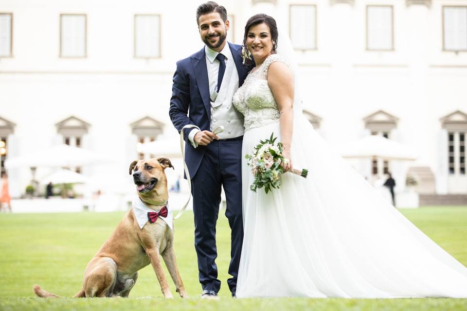 Le tue dogsitter per matrimoni