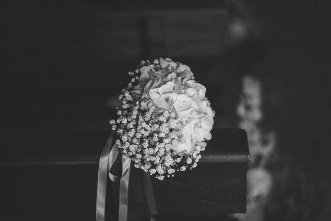 Ph. Federica Provini