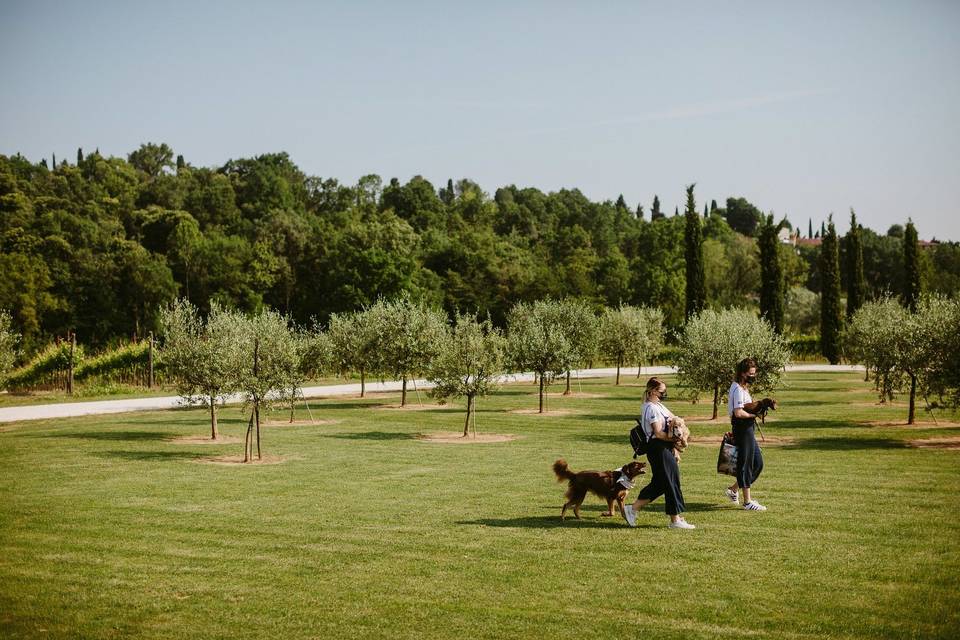 Le tue dogsitter per matrimoni