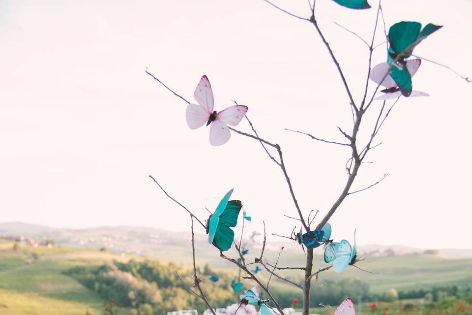 Ph. Elena Baderna