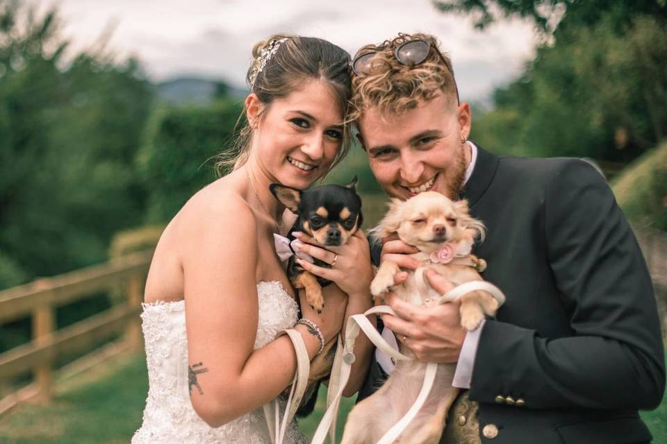 Le tue dogsitter per matrimoni