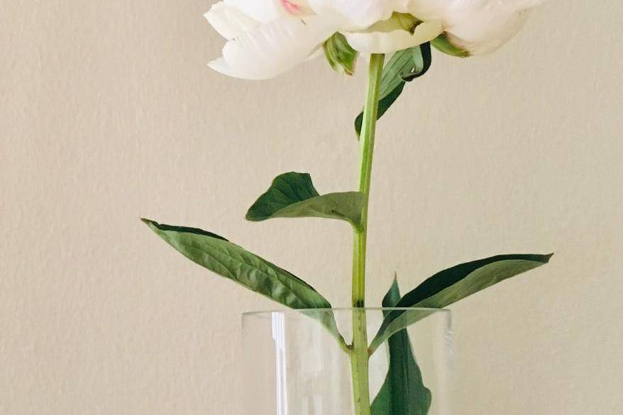 Le Bouquet