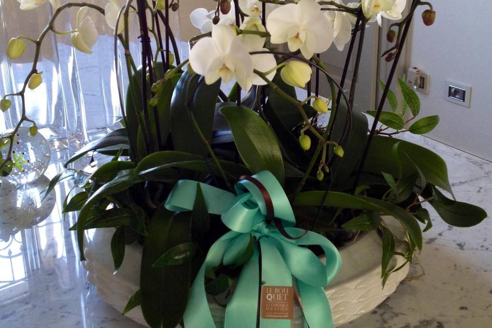 Le Bouquet