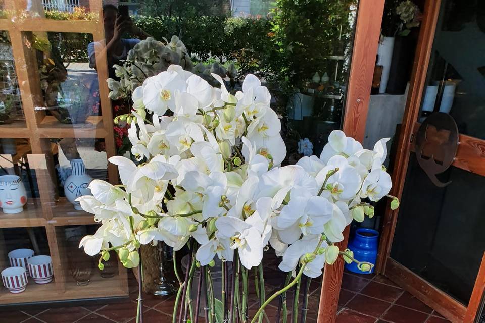 Le Bouquet