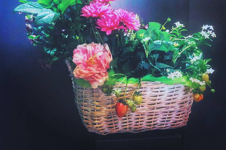 Le Bouquet