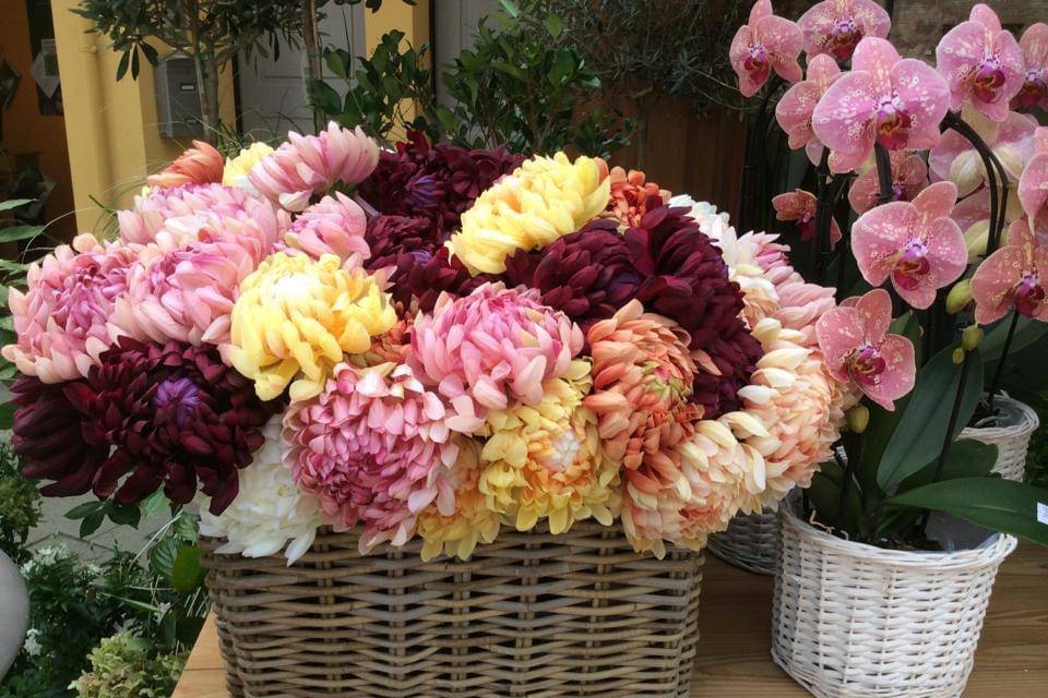Le Bouquet