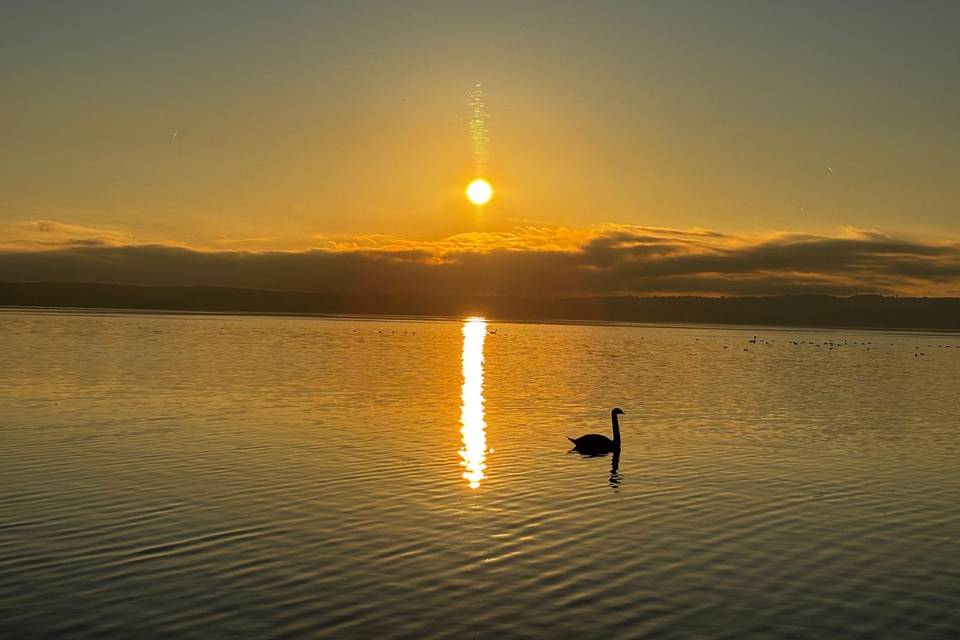 Sunrise