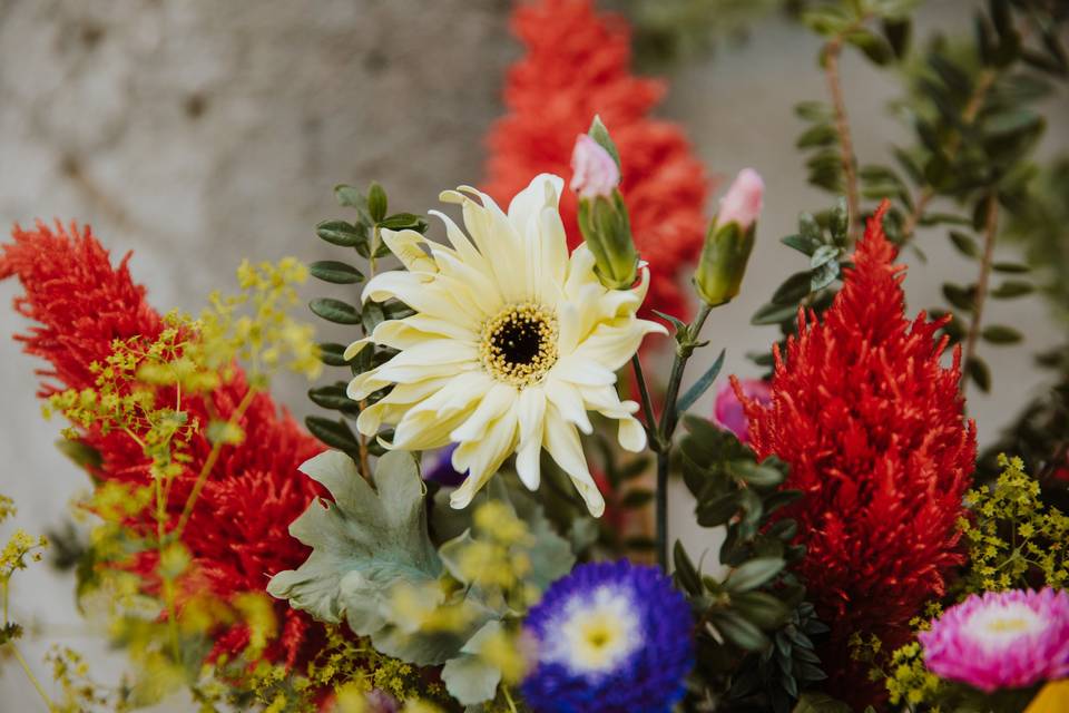 Fiori particolari
