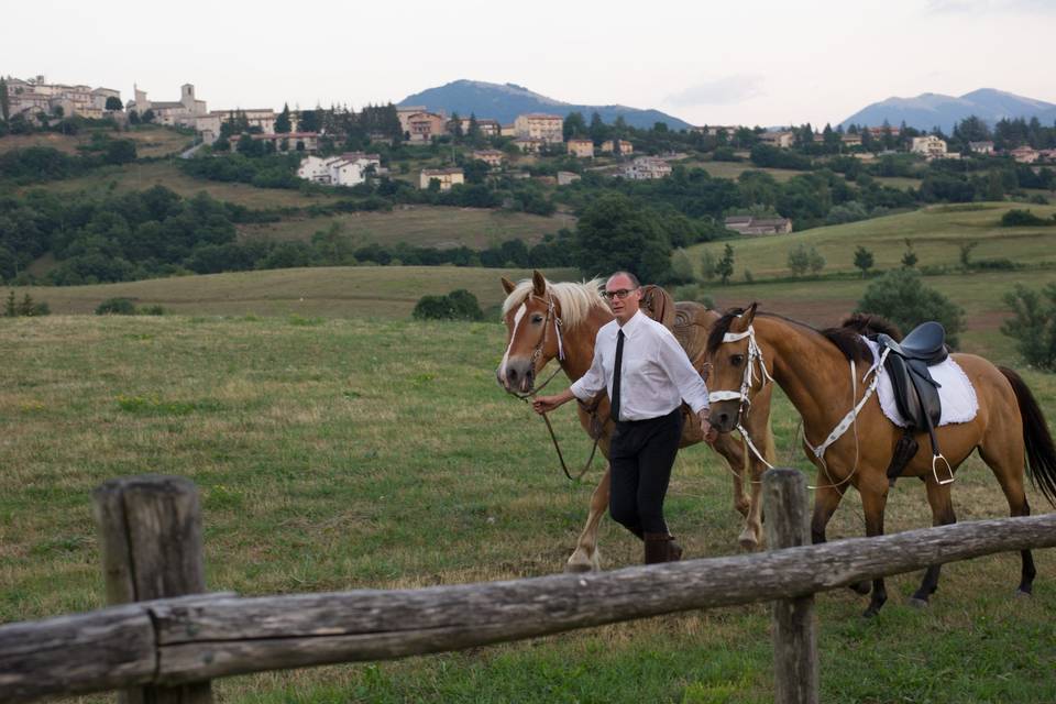 Il mio team