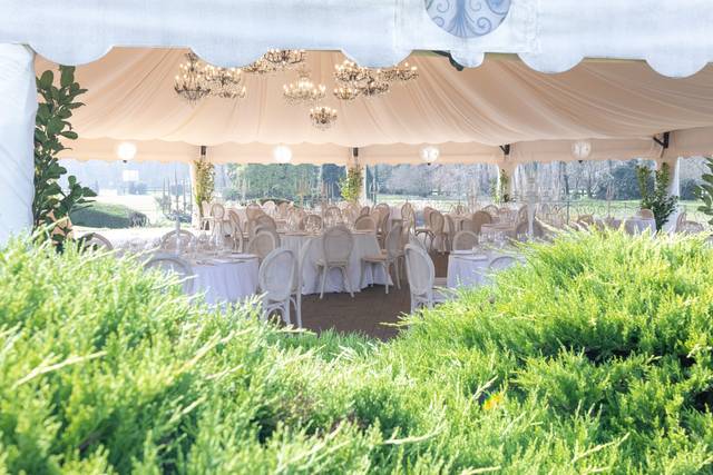 Pavillon delle feste