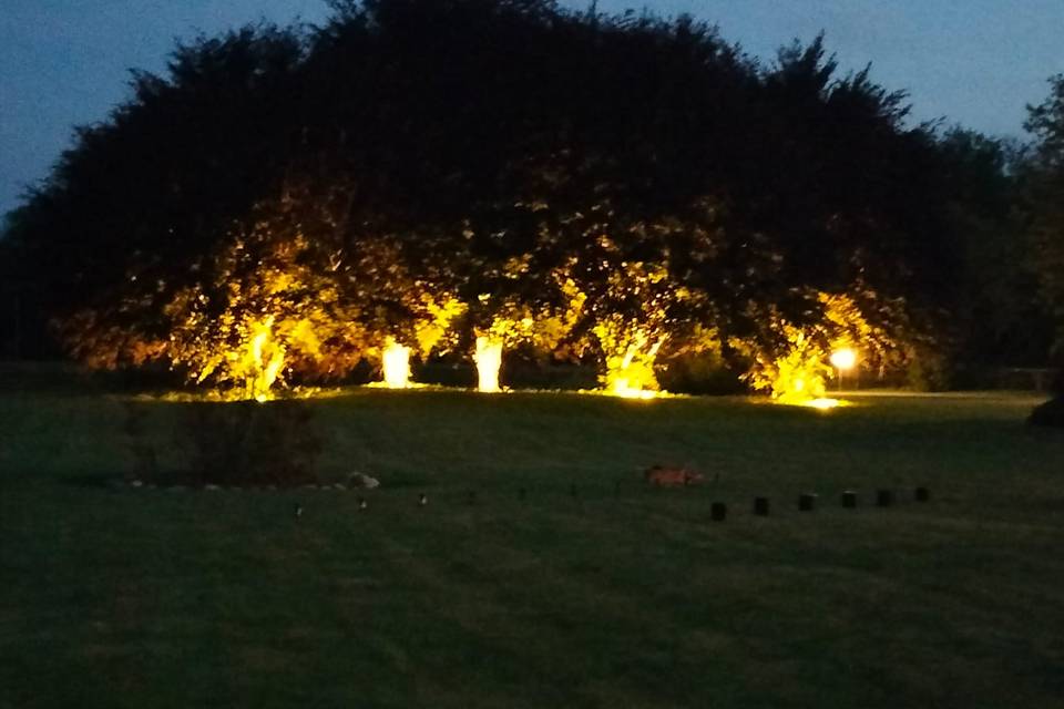 Le querce
