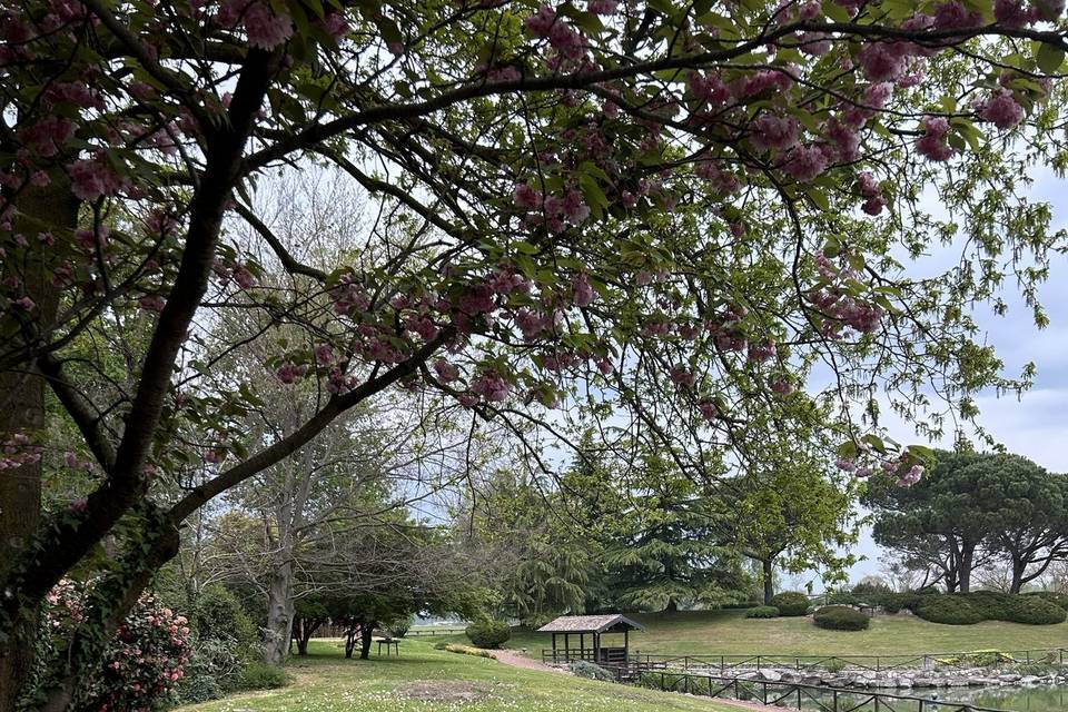 Il parco