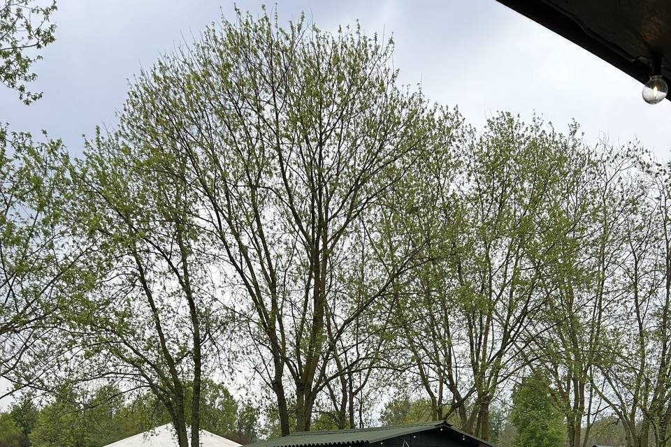 Aperitivo viale delizie