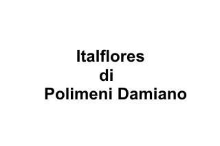 Italflores di Polimeni Damiano logo