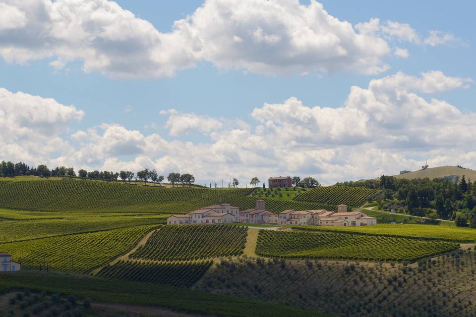 Tenuta Condé