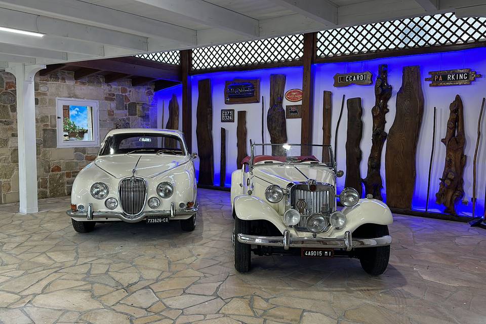 Lafer & Jaguar