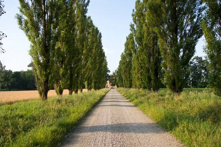 Il viale di accesso