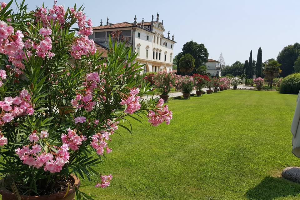 Giardino davanti