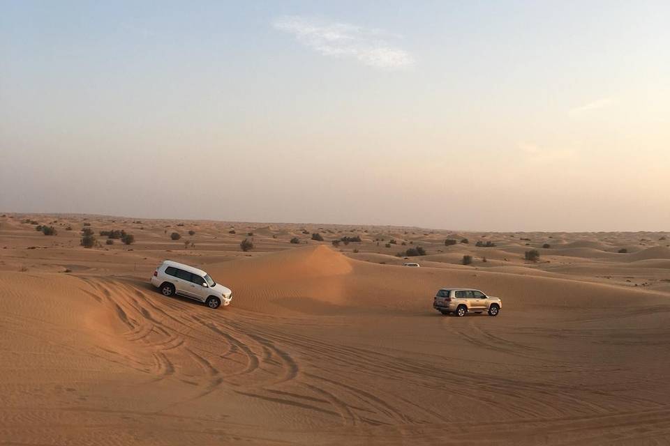 Gita nel deserto - Dubai