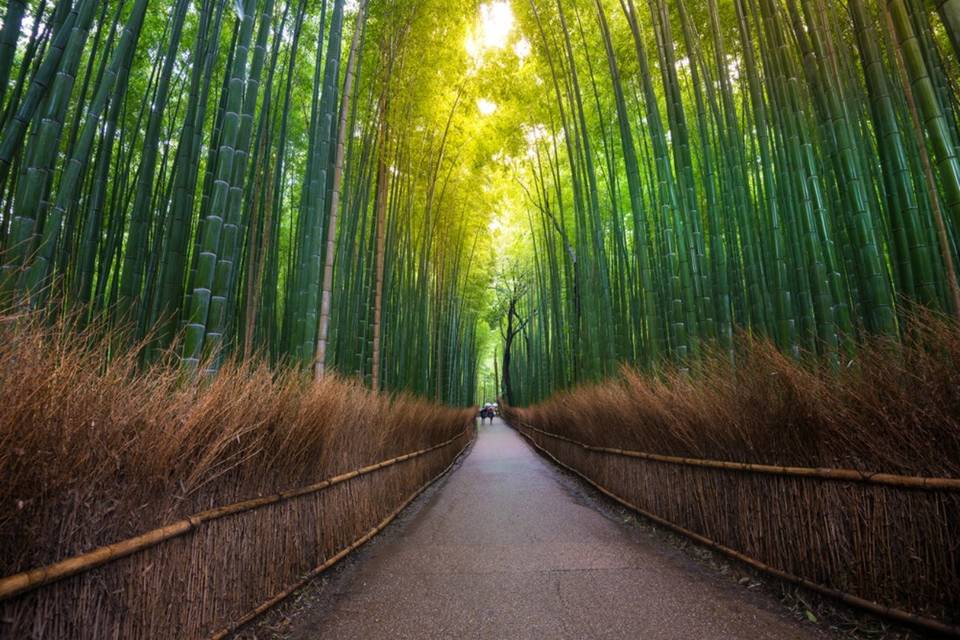 Arashiyama - Giappone