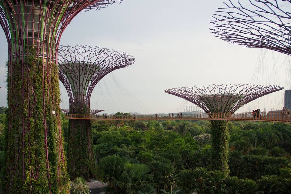 Gardens by the Bay - Singapore