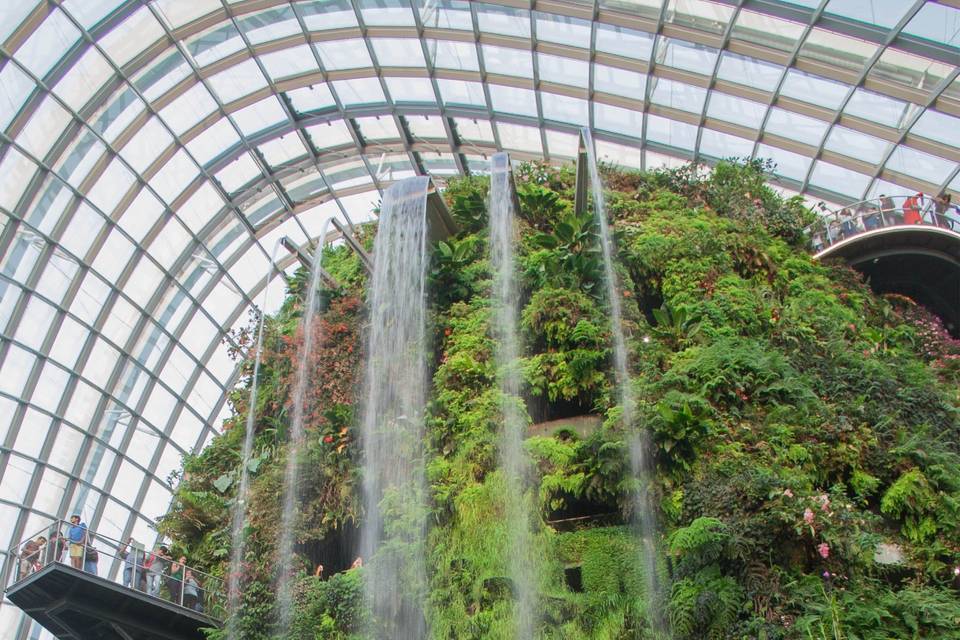 Gardens by the Bay - Singapore