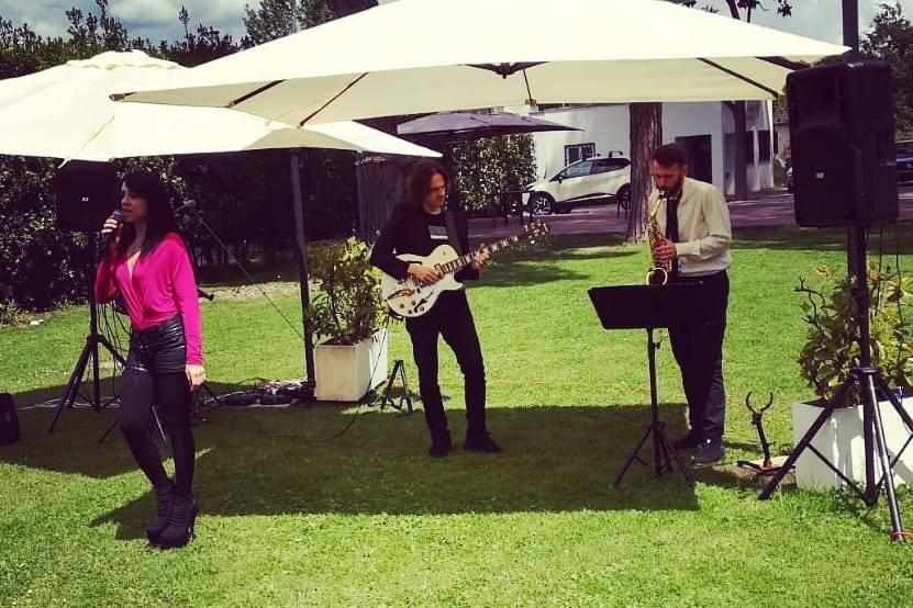 Trio live