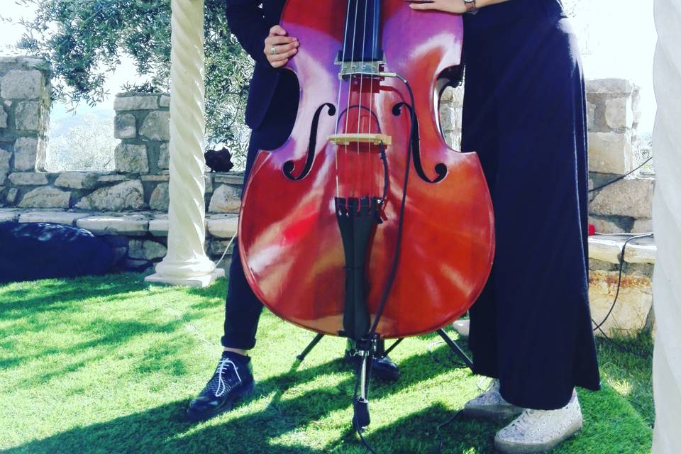 Elegantemente noi