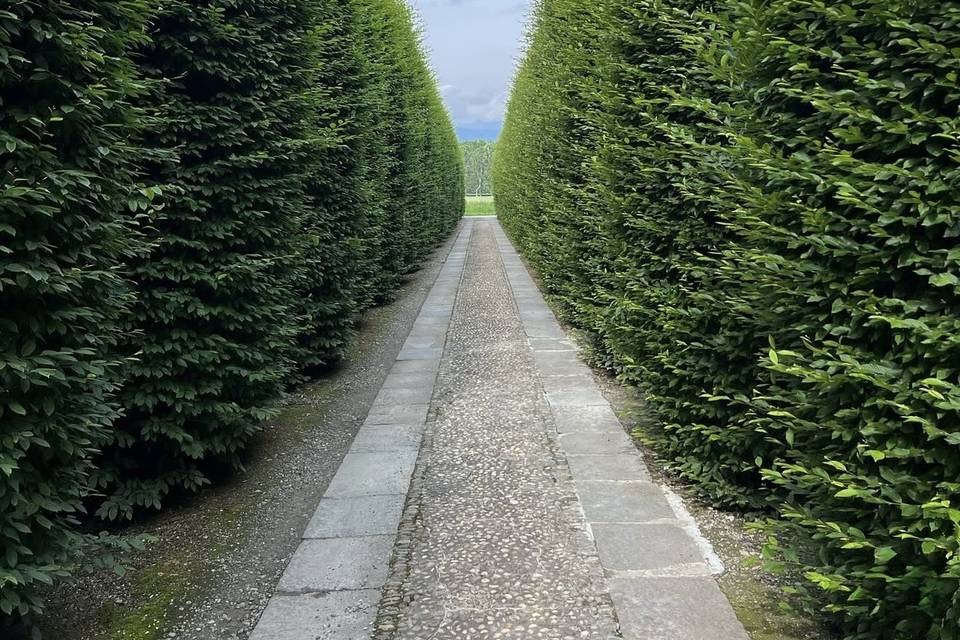 Viale