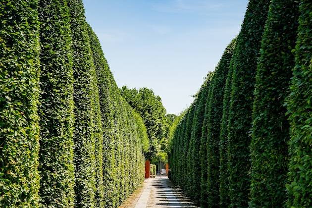 IL VIALE