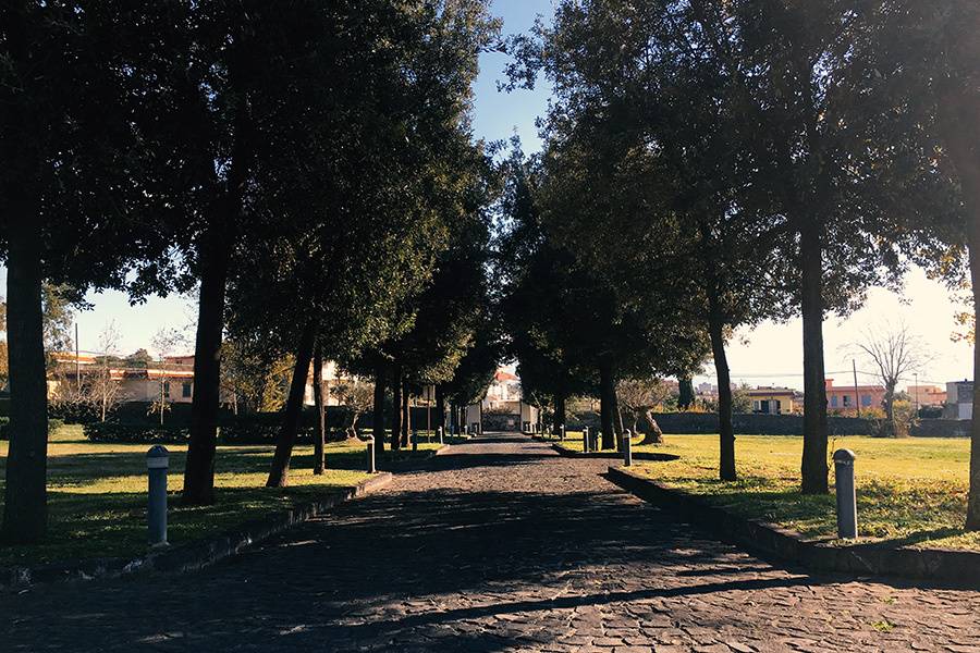 Il viale della villa